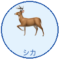 シカ
