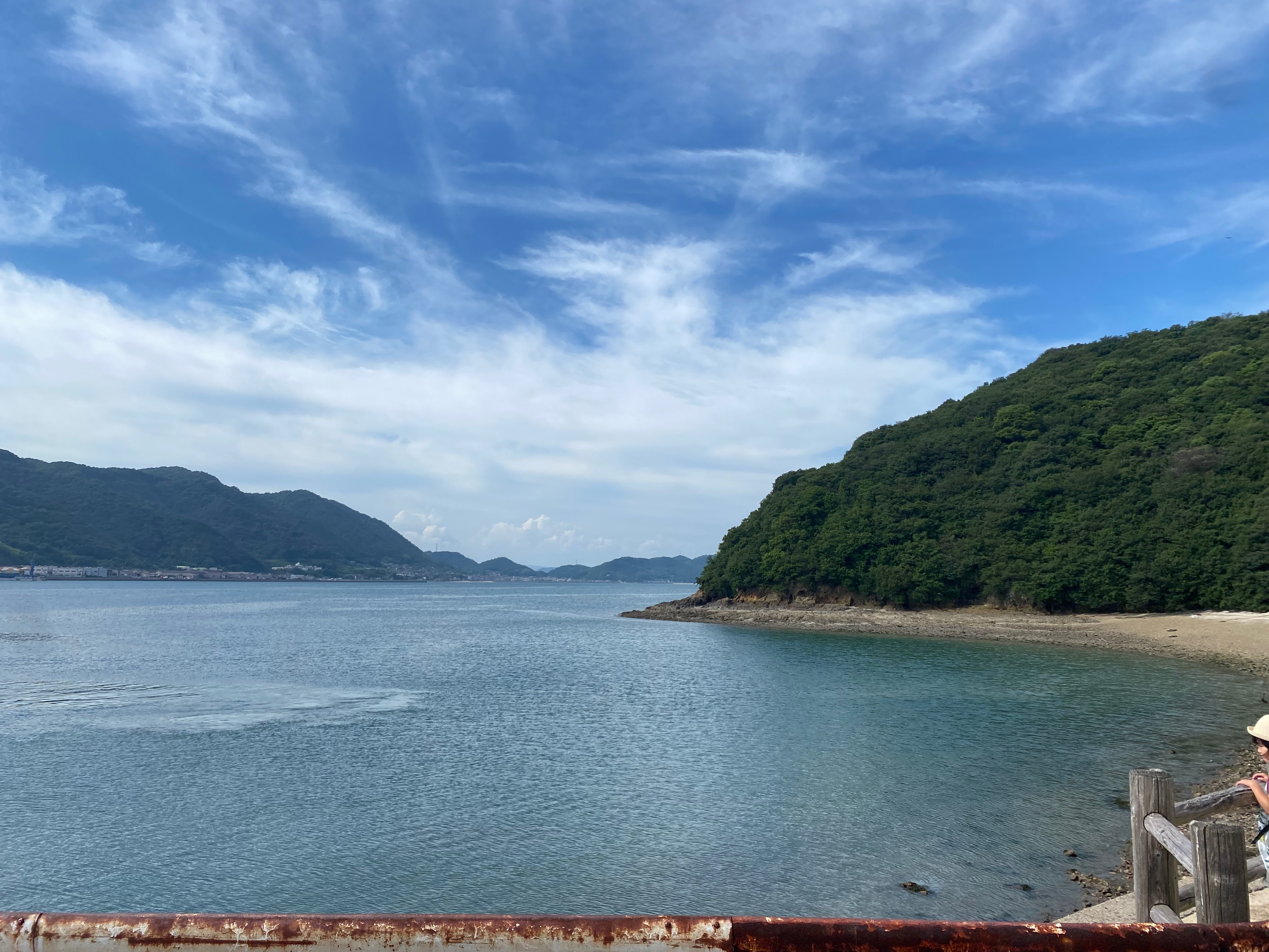 仙酔島から見た海